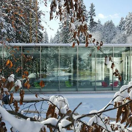 Hotel Silvana By Waldhaus Flims